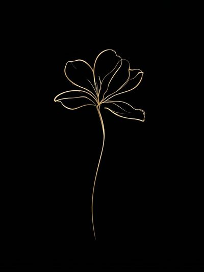 Minimal Line Flower Print. poster