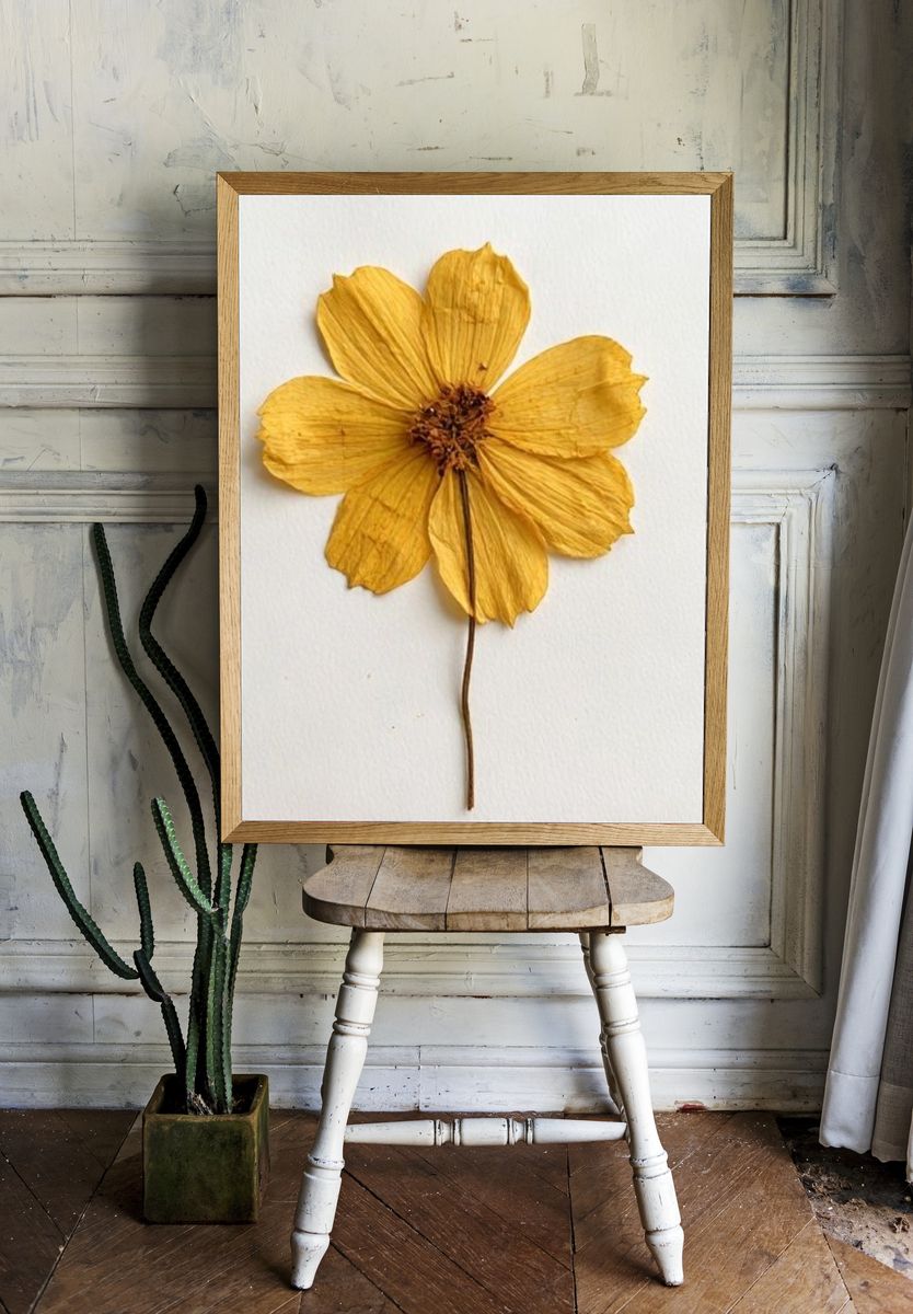 Pressed Yellow Flower Botanical Print. room preview