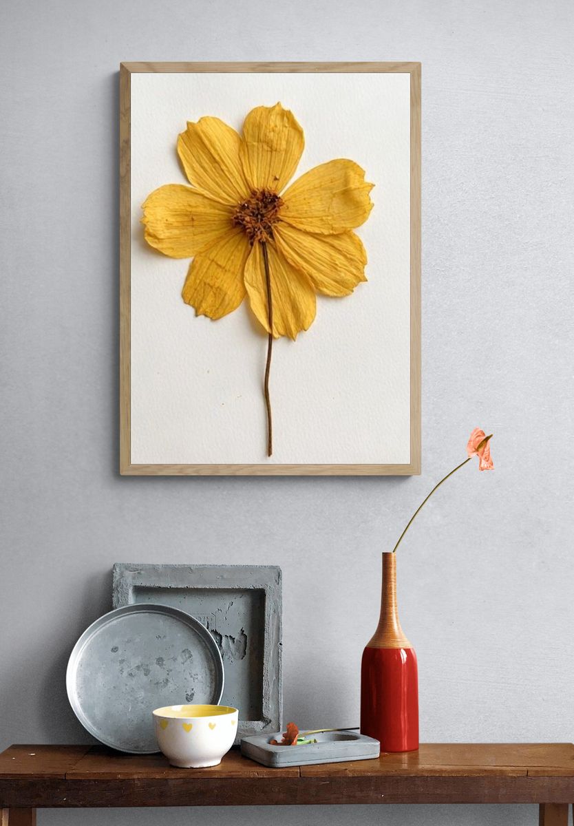 Pressed Yellow Flower Botanical Print. — room view 3