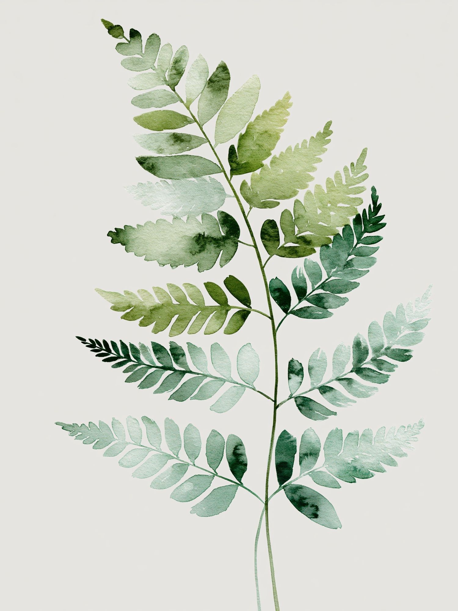 Watercolor Fern Botanical Poster. poster — botanical art