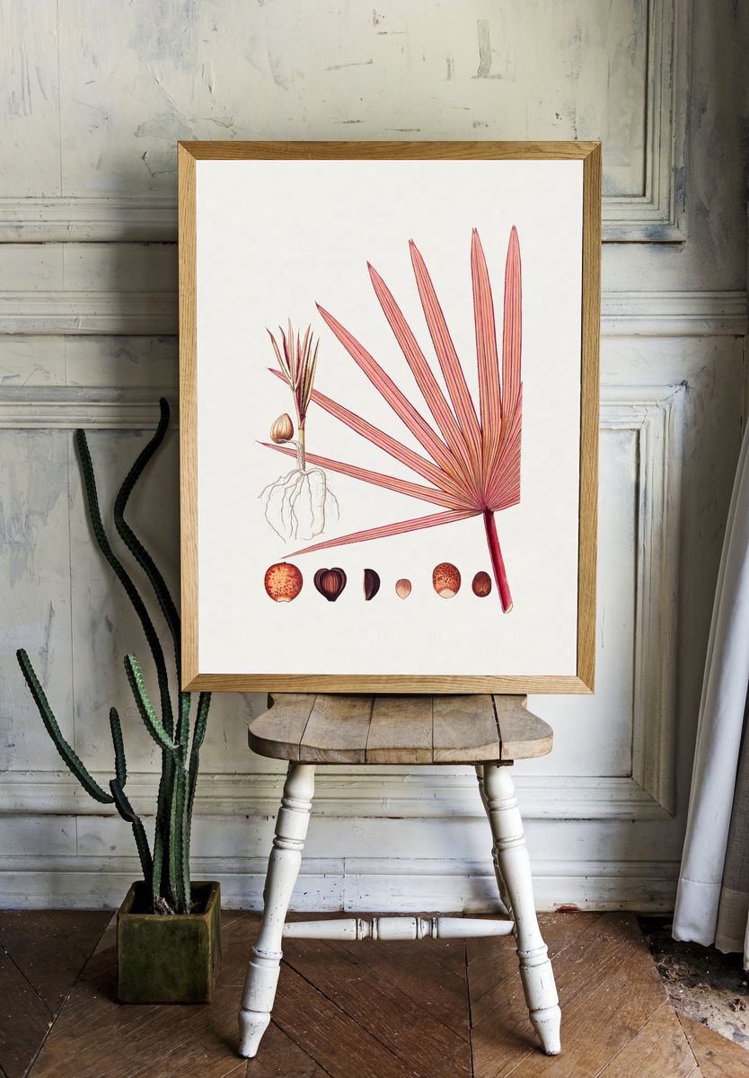 Hand drawn red latan palm. room preview