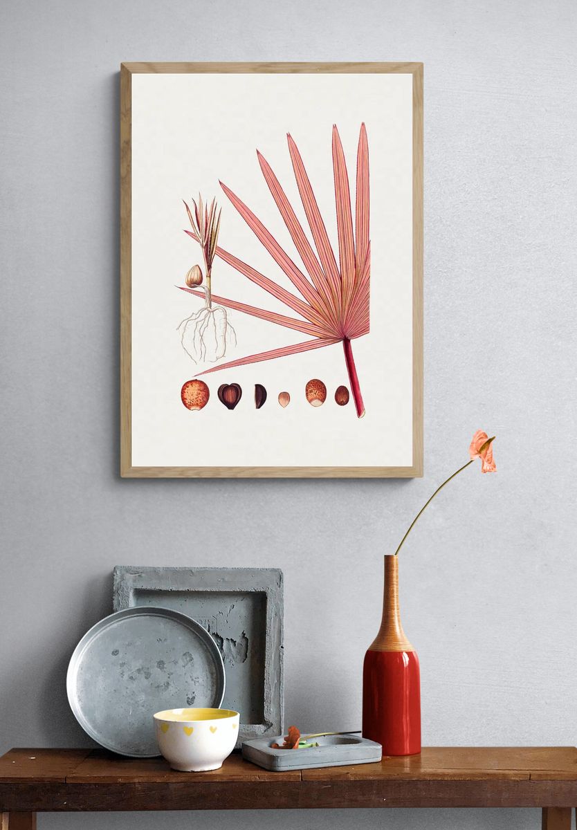Hand drawn red latan palm. — room view 3