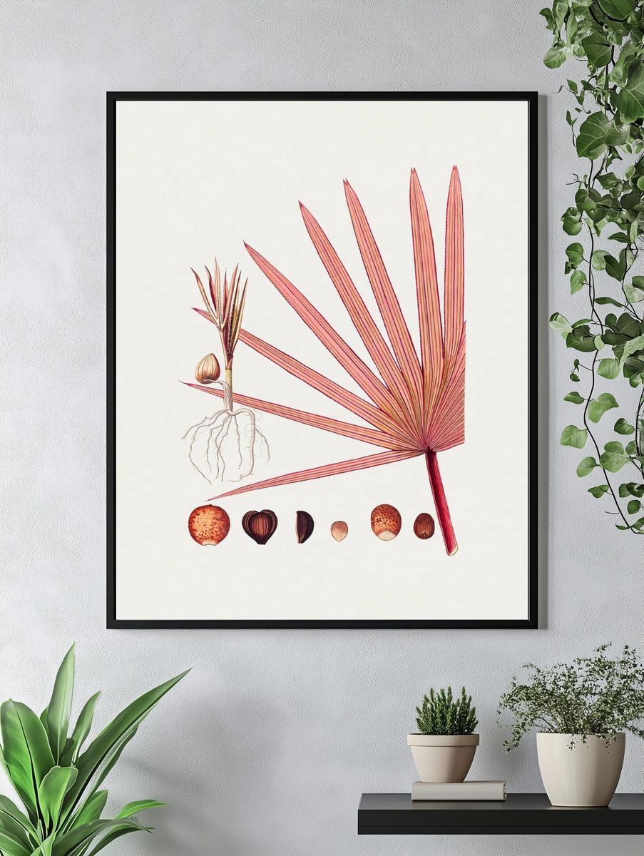 Hand drawn red latan palm. — room view 4