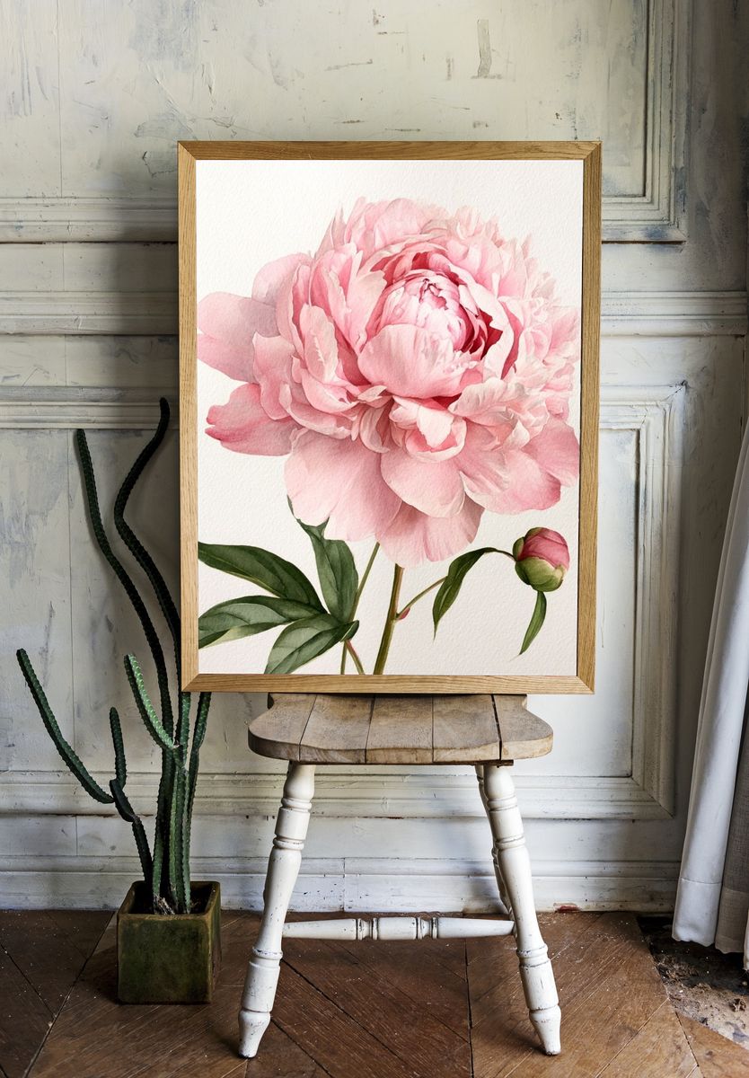 Pink Peony Watercolor Print. room preview