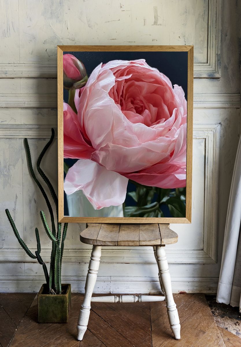 Pink Peony Bloom Botanical Print. room preview