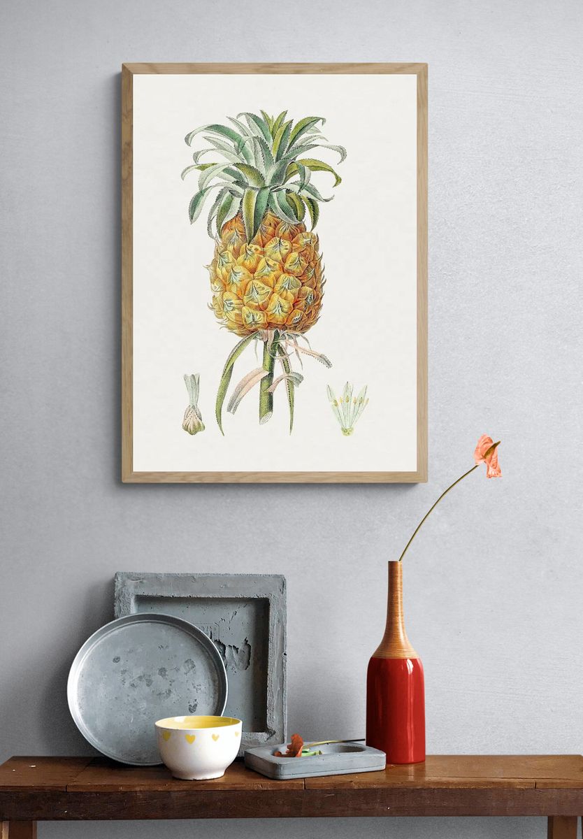 Hand drawn pineapple. Original Biodiversity. — room view 3