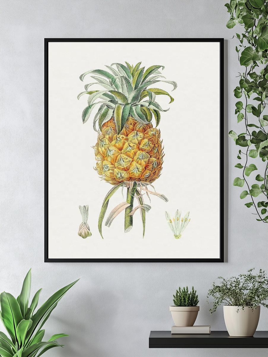 Hand drawn pineapple. Original Biodiversity. — room view 4