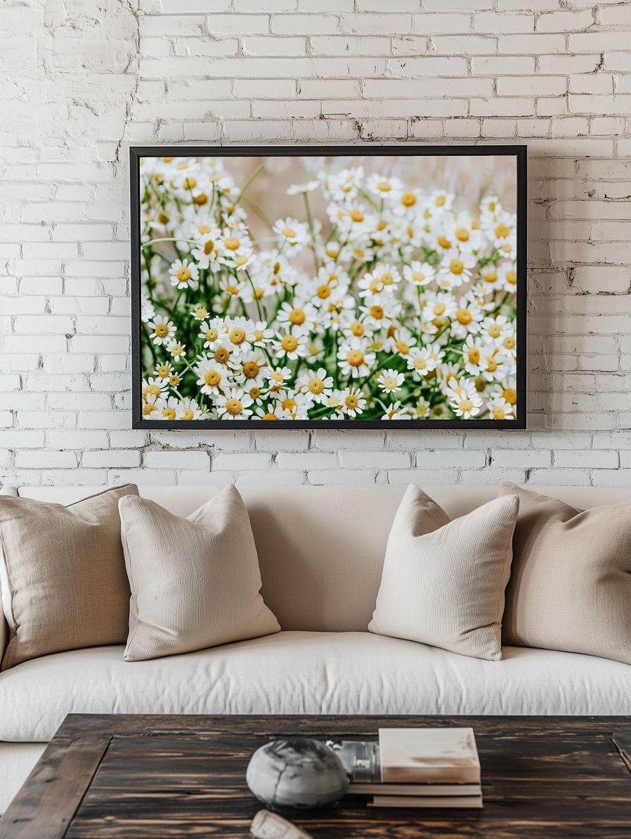 White flower desktop wallpaper, daisy. — room view 1