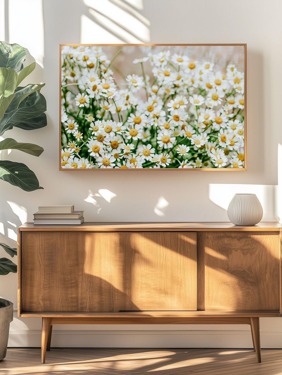White flower desktop wallpaper, daisy. — room view 3