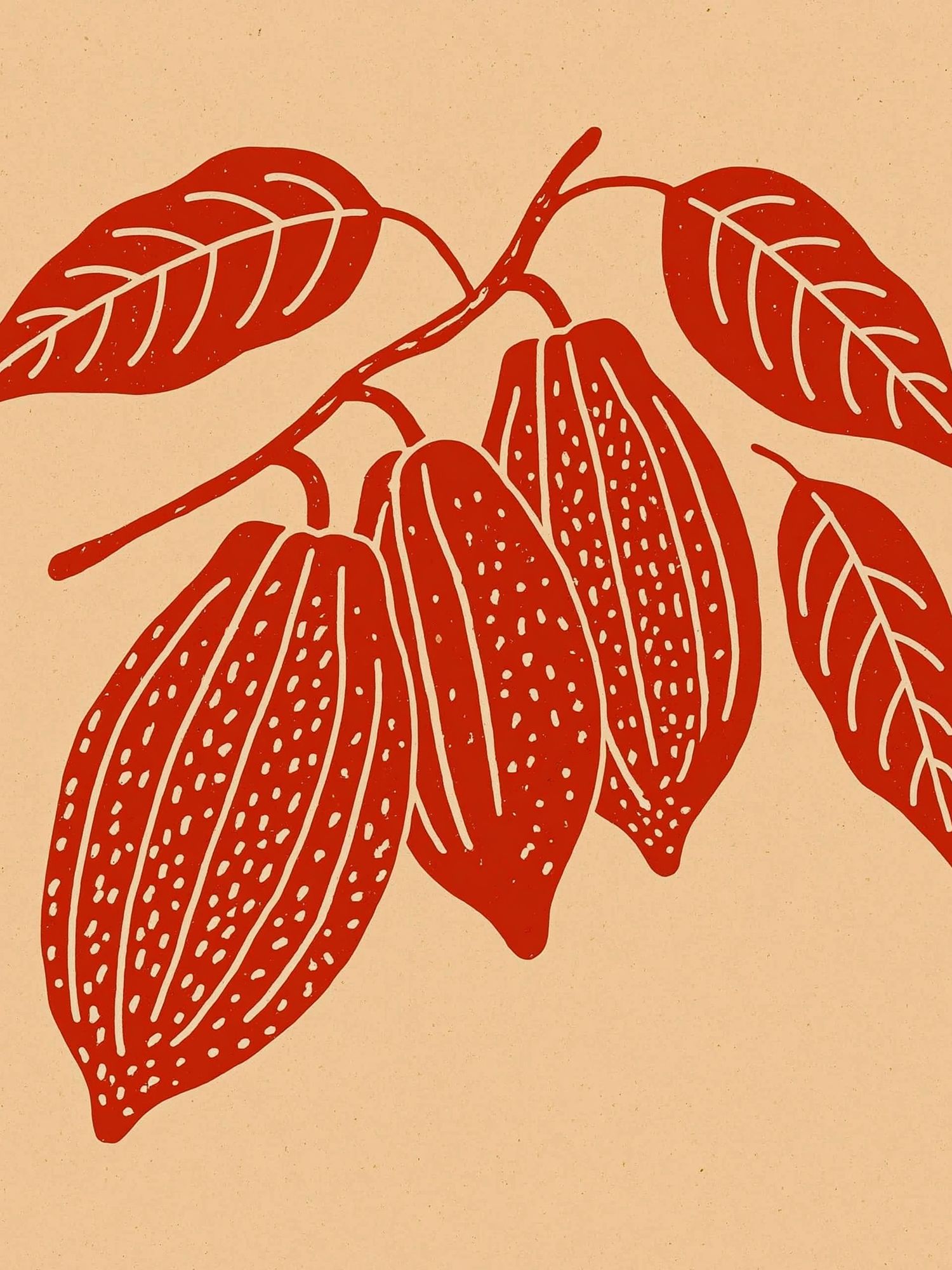 Red Botanical Branch Print. poster detail