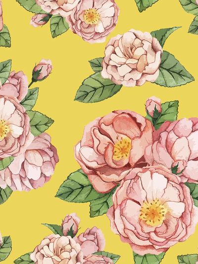 Hand drawn peony flower isolated.