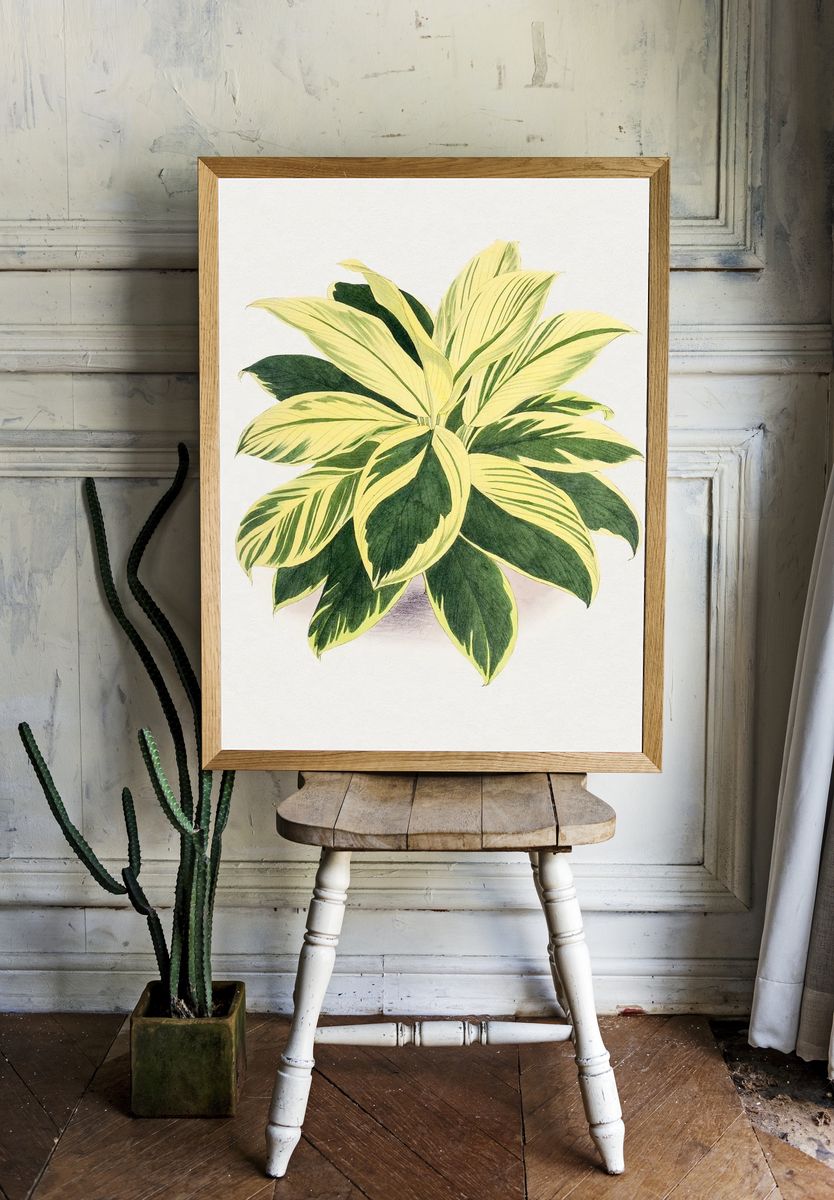 Hand drawn dracaena plant. Original. — room view 1