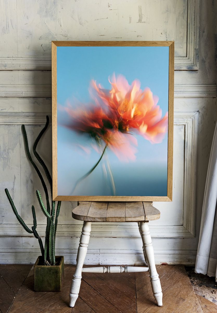 Blurred Flower Abstract Print. — room view 1