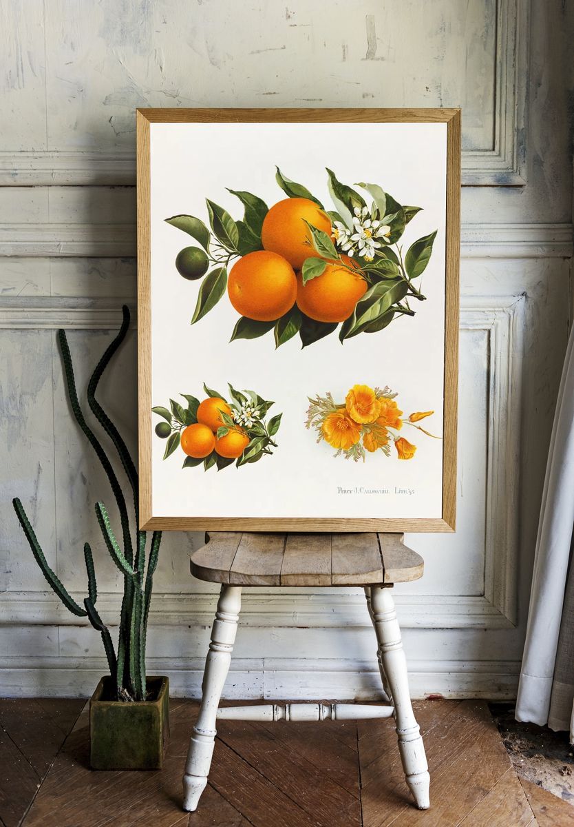 Oranges poppies (1895), vintage fruit. — room view 1