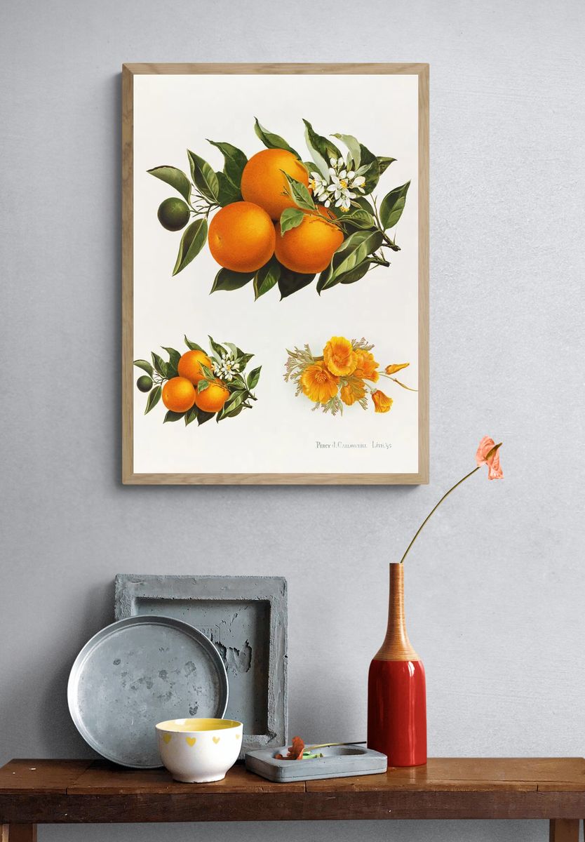 Oranges poppies (1895), vintage fruit. — room view 3