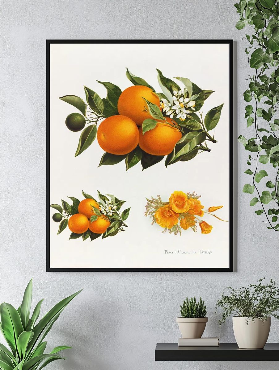 Oranges poppies (1895), vintage fruit. — room view 4