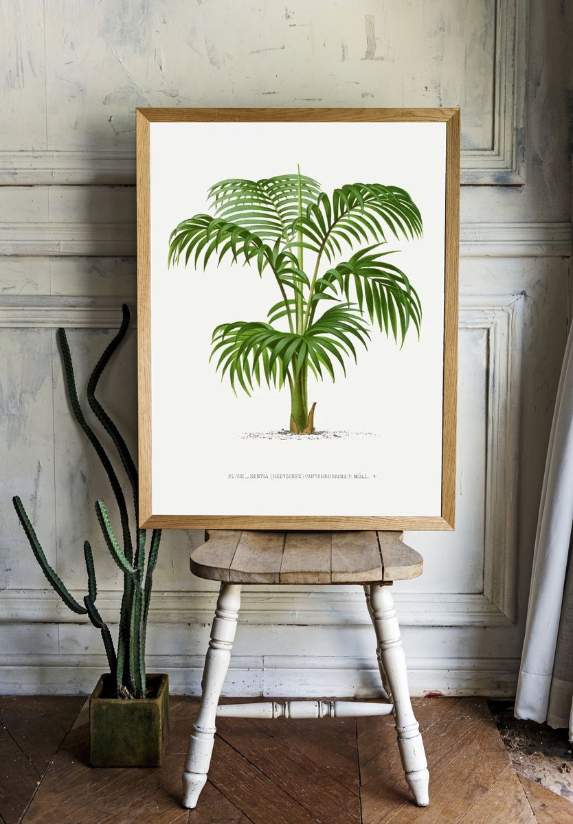 Vintage palm tree illustration. Digitally. room preview