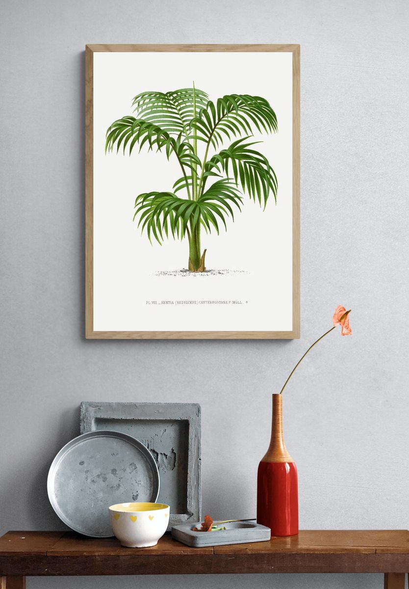Vintage palm tree illustration. Digitally. — room view 3