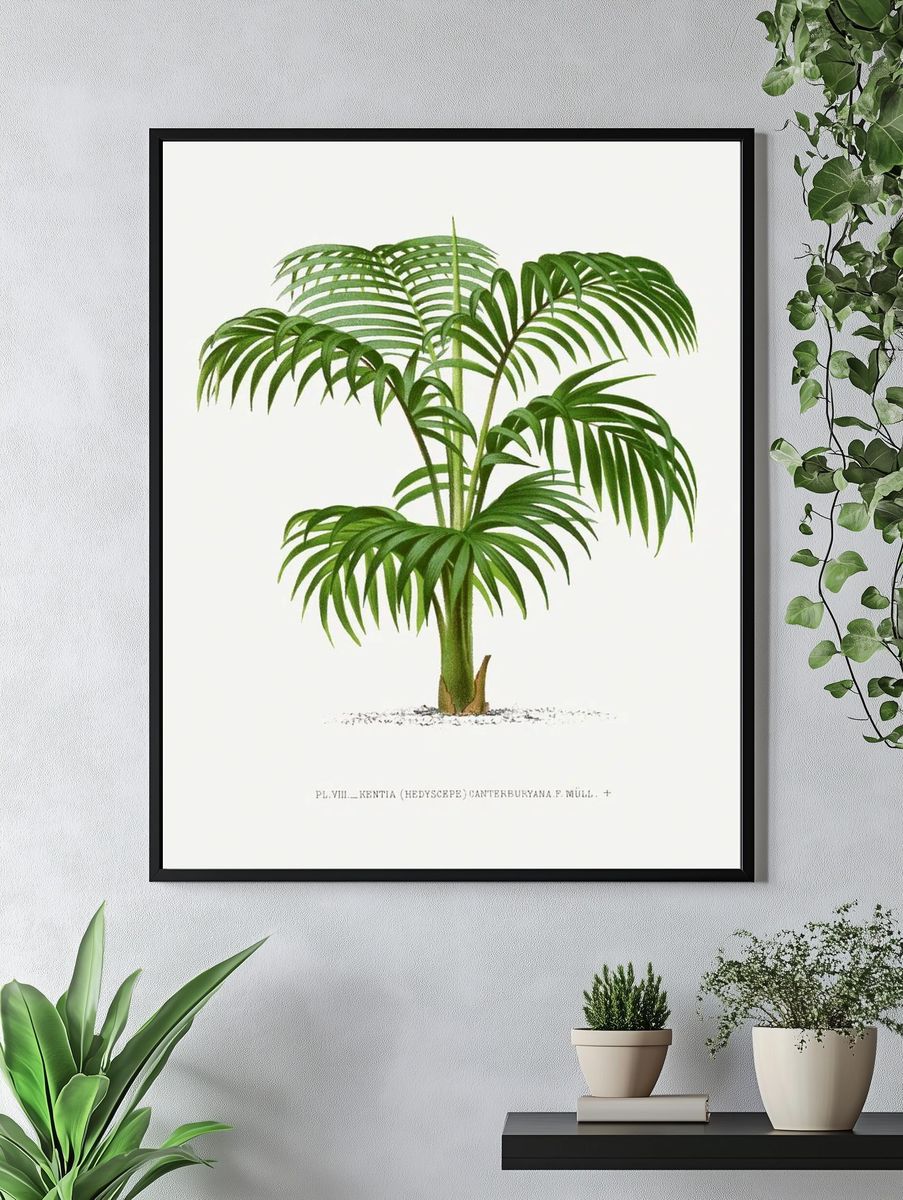Vintage palm tree illustration. Digitally. — room view 4