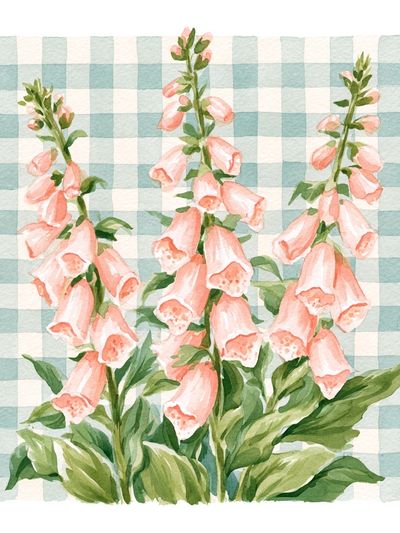 Foxglove Watercolor Botanical Poster. poster
