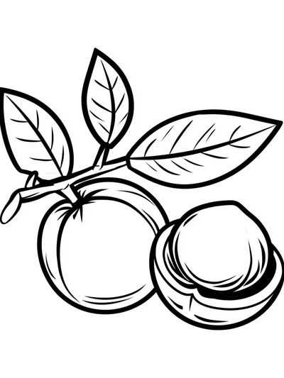 Peach Branch Line Art Poster.