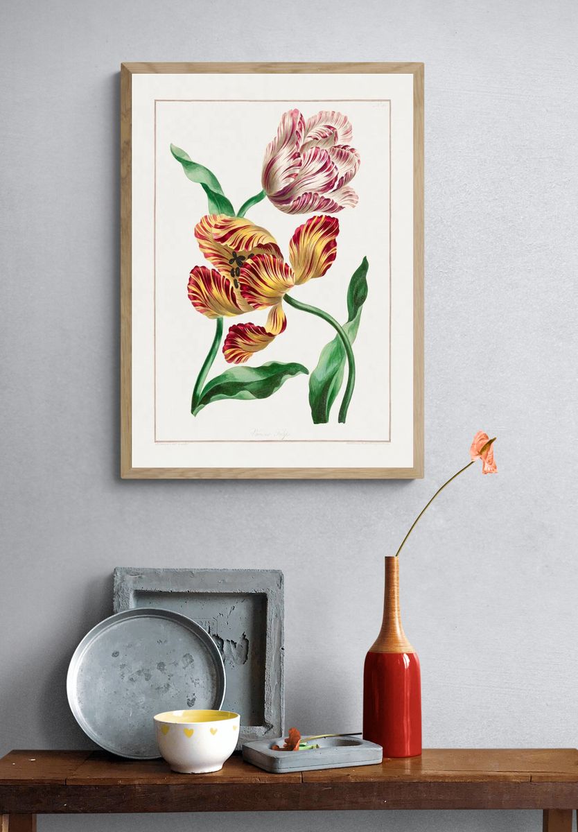 Various Tulips (1791) high resolution. — room view 3
