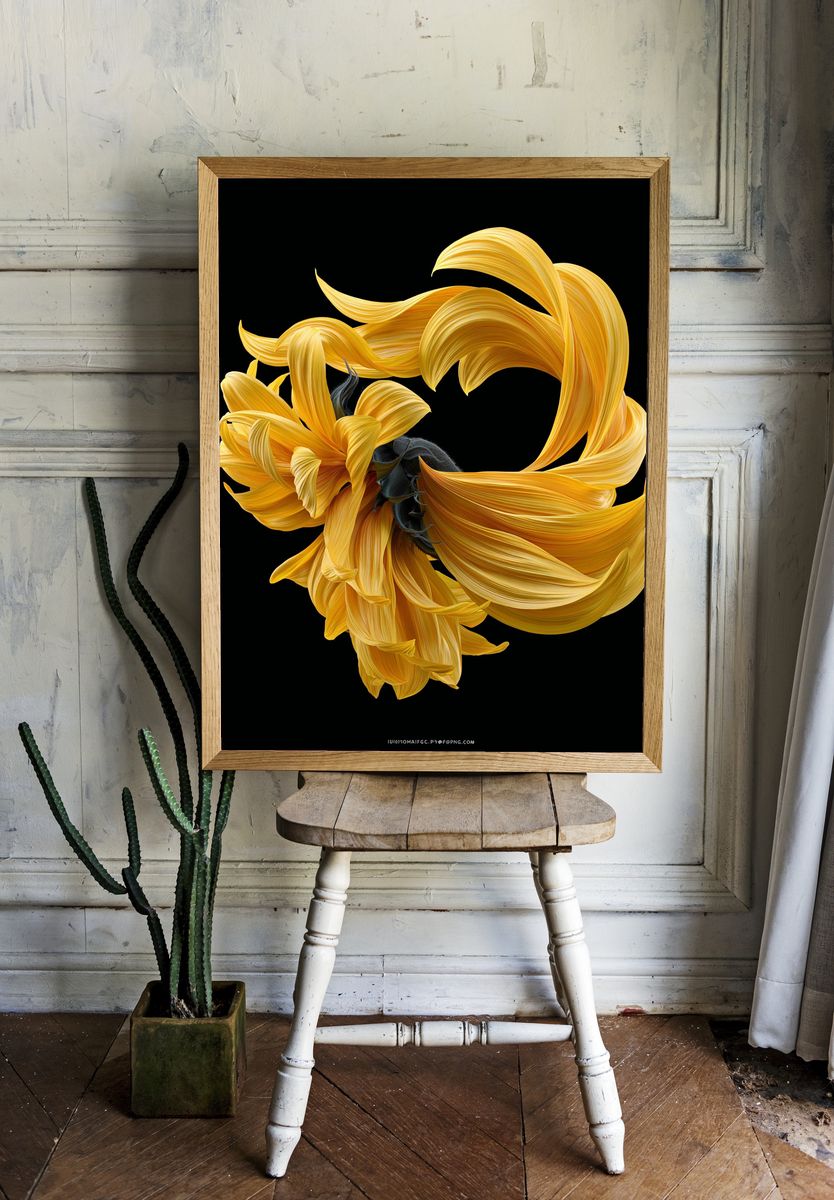 Golden Sunflower Bloom Print. room preview