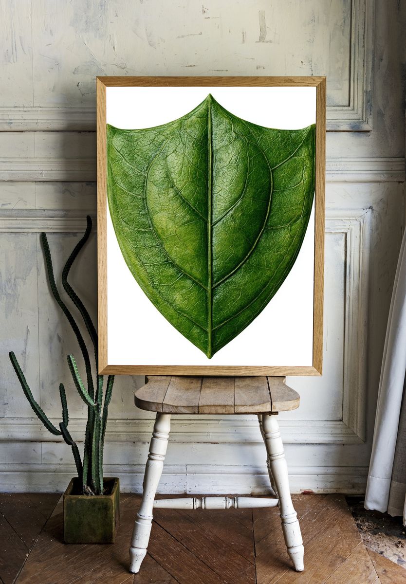 Green Leaf Shield Botanical Print. room preview