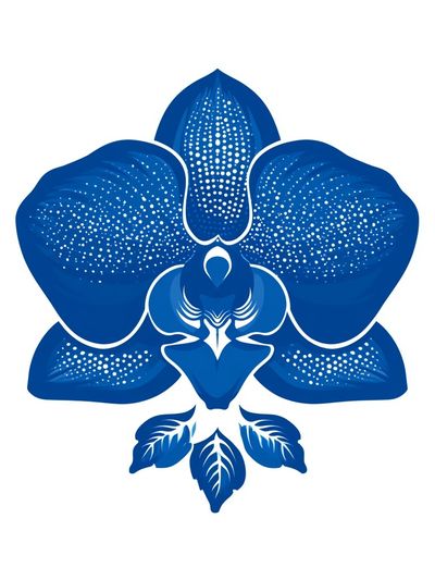 Blue Orchid Botanical Print.
