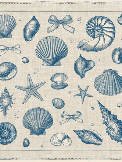 Seashell Collection Vintage Print.