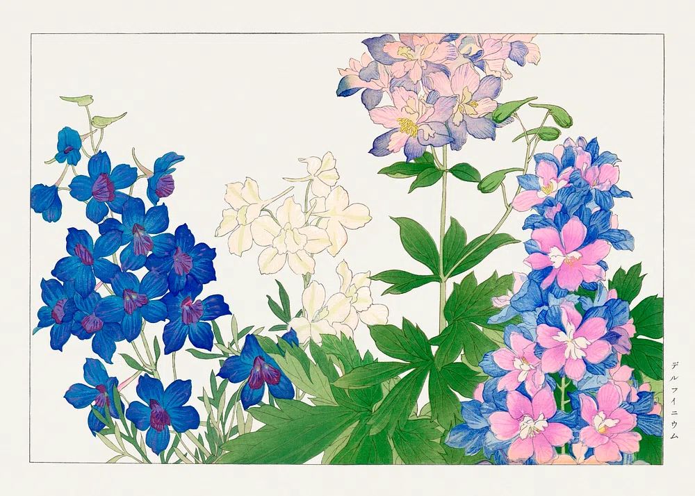 Delphinium flower, Japanese woodblock art. poster detail
