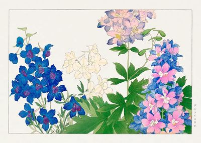 Delphinium flower, Japanese woodblock art. poster