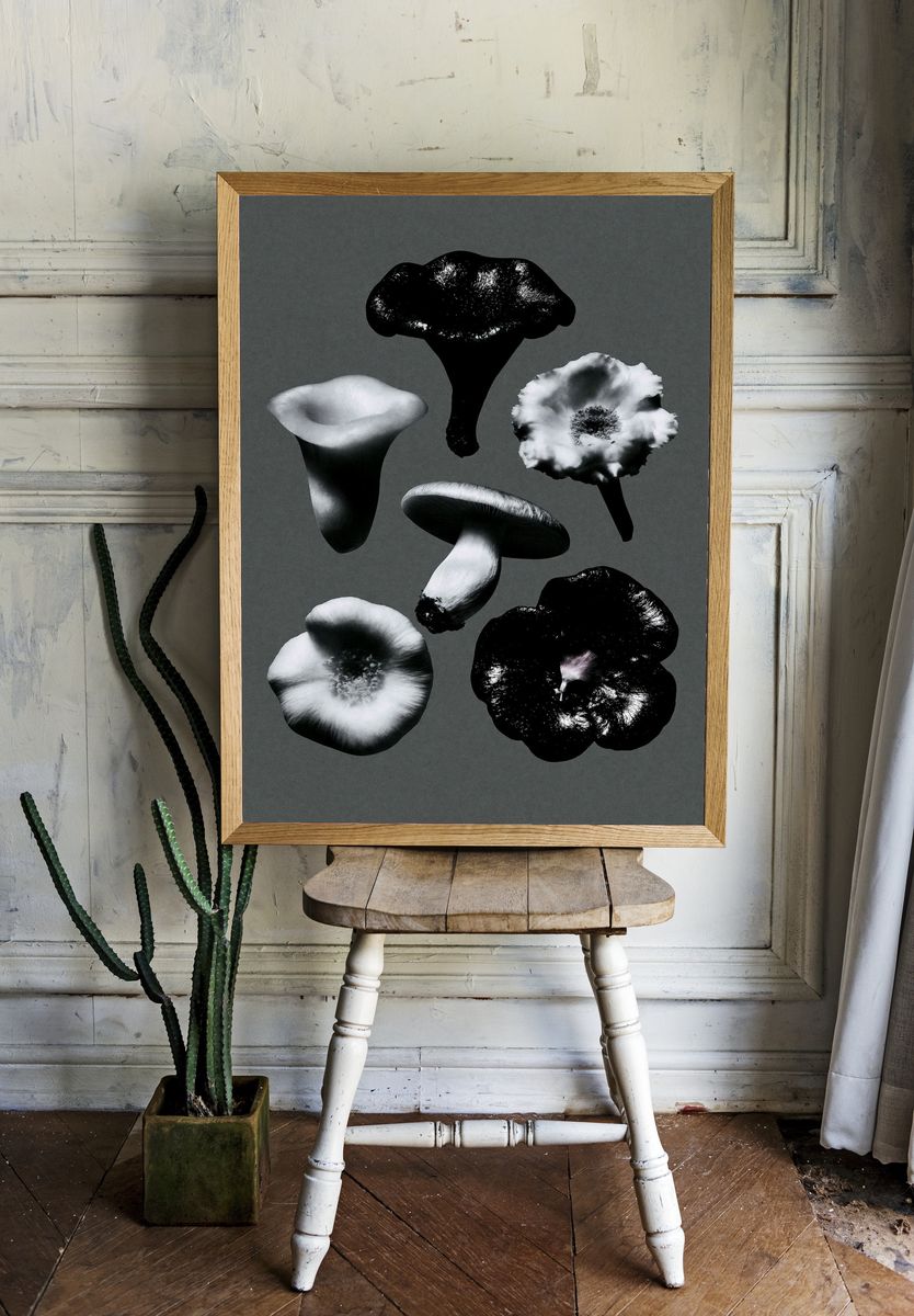 Monochrome Mushroom Study Poster. — room view 1