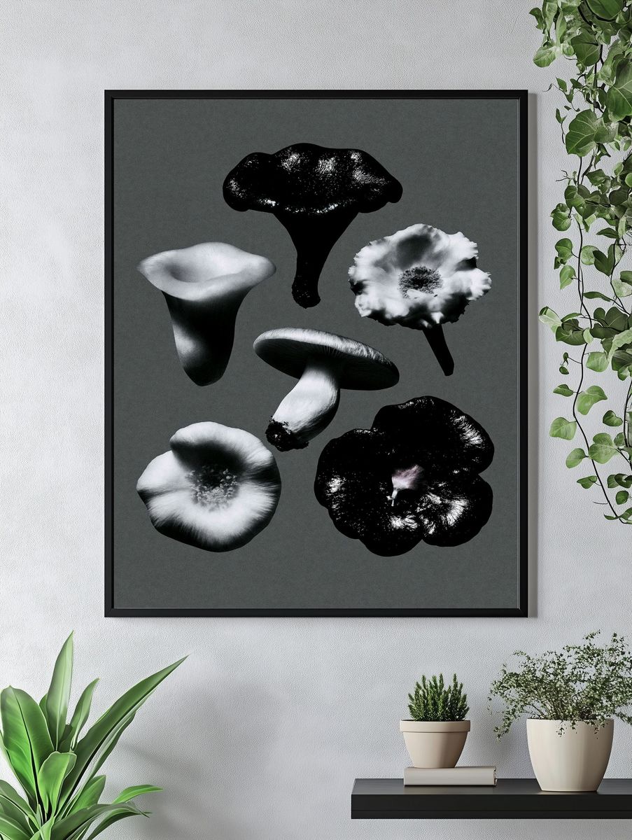 Monochrome Mushroom Study Poster. — room view 4