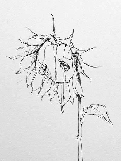 Abstract Sunflower Line Art Poster.