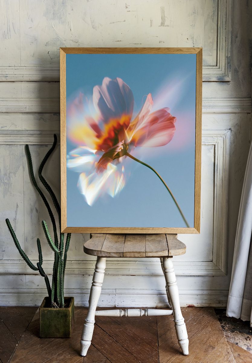 Dreamy Flower Bloom Photography Poster. room preview