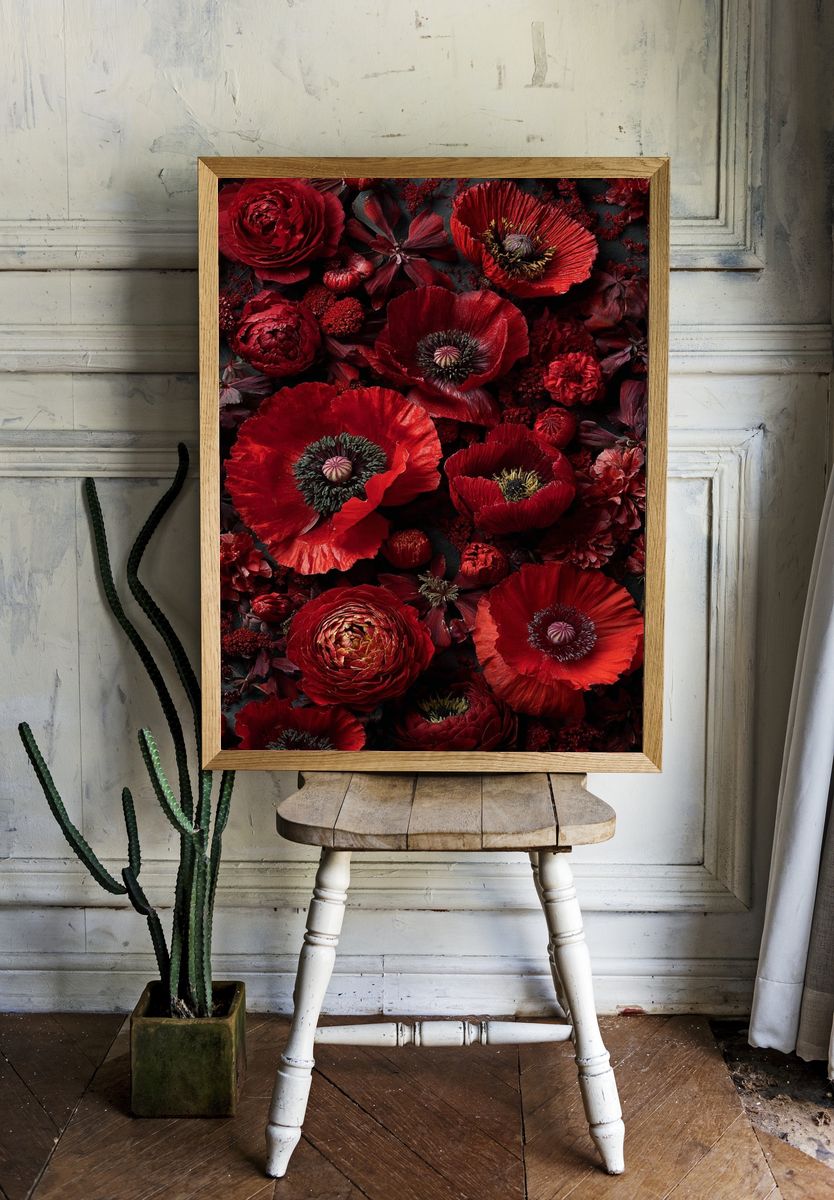 Crimson Poppy Blooms Botanical Print. — room view 1