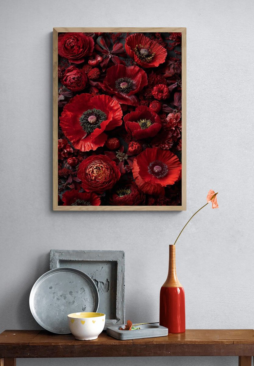 Crimson Poppy Blooms Botanical Print. — room view 3