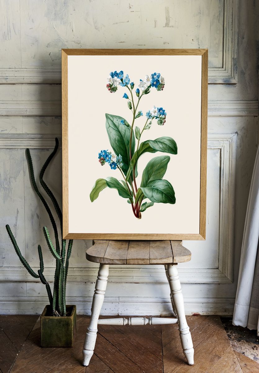 Blue Forget-Me-Not Botanical Poster. — room view 1