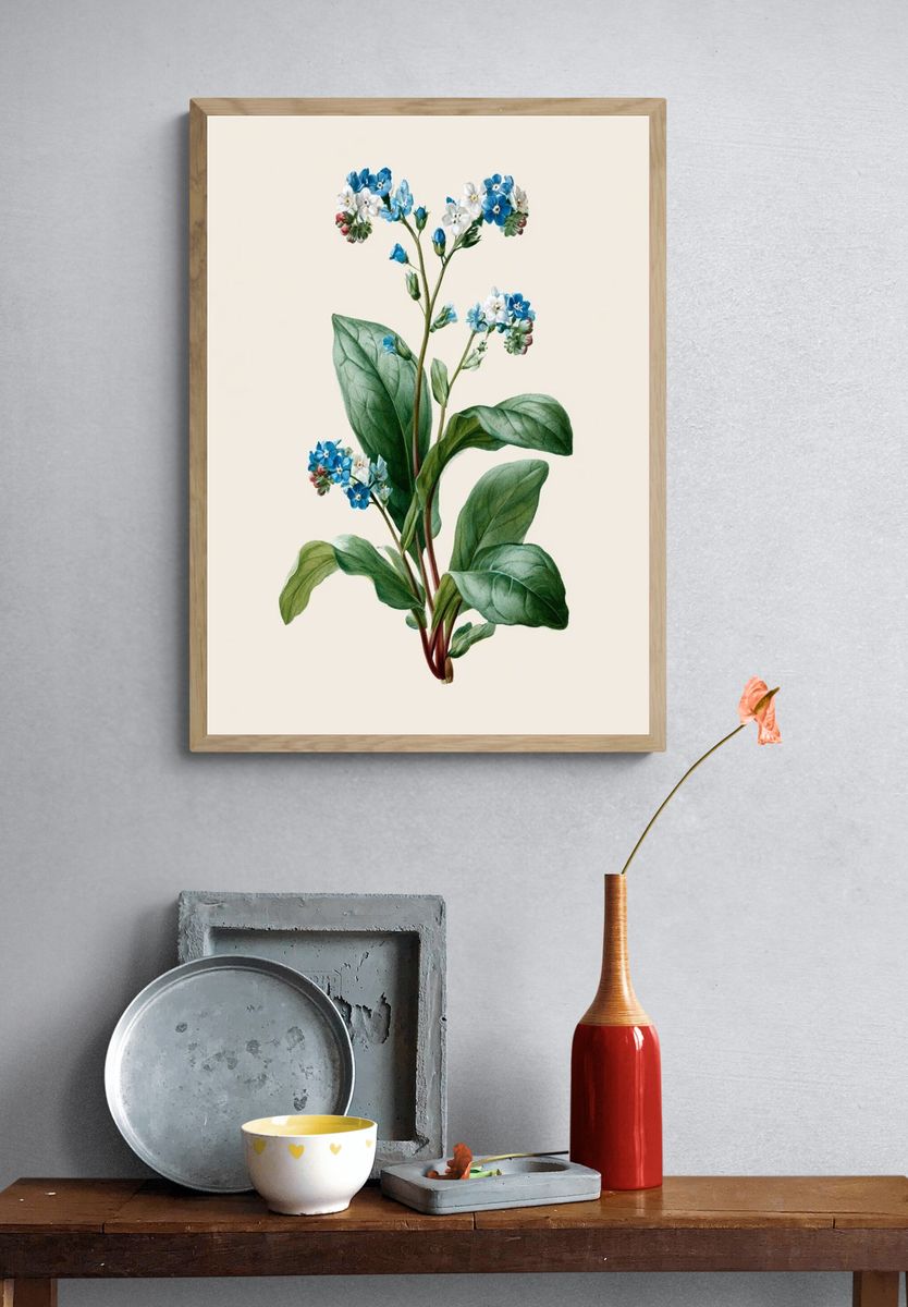 Blue Forget-Me-Not Botanical Poster. — room view 3