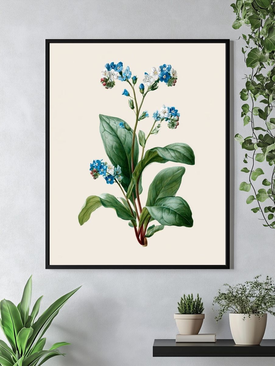 Blue Forget-Me-Not Botanical Poster. — room view 4