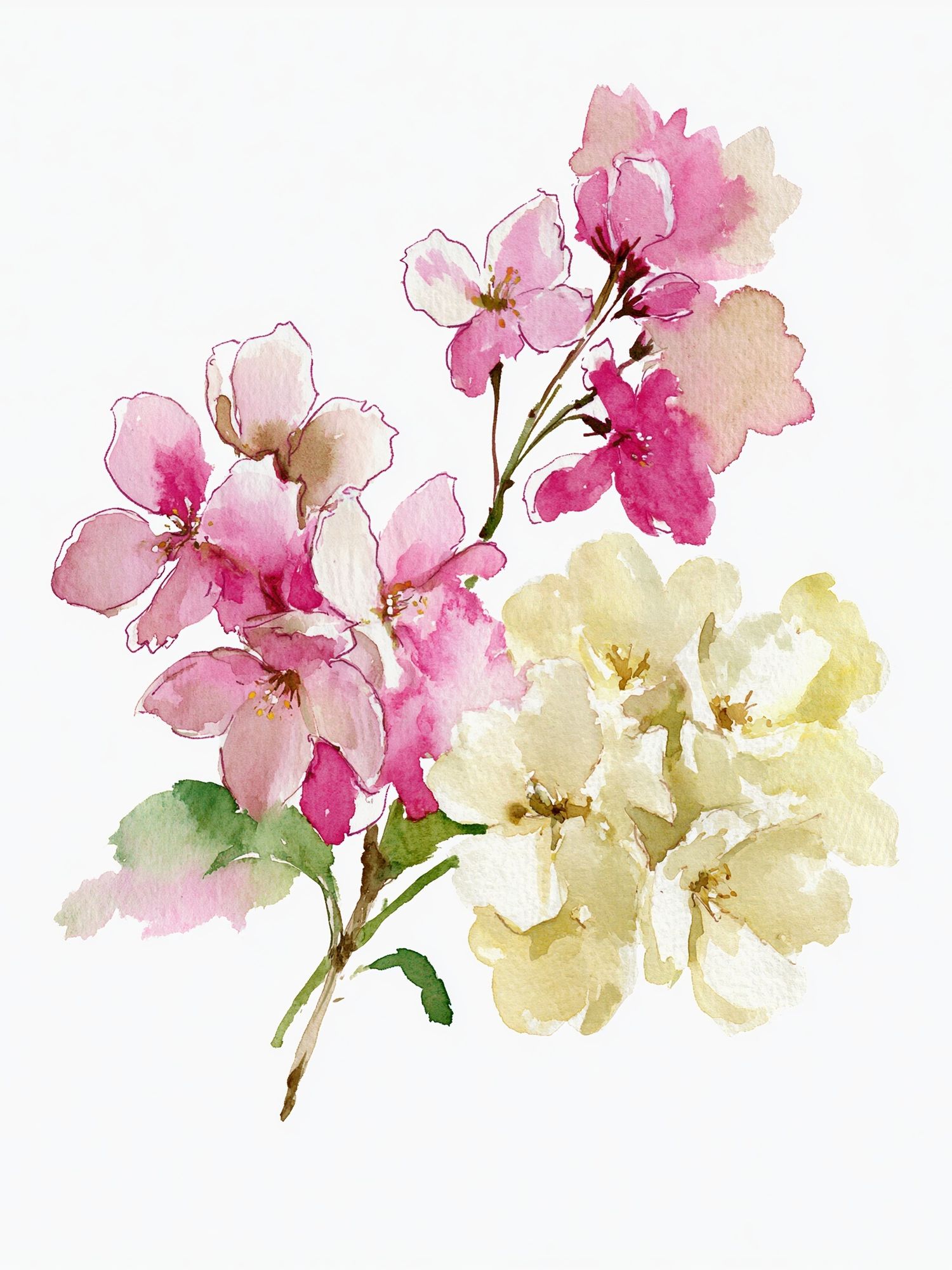 Cherry Blossom Watercolor Poster. poster detail
