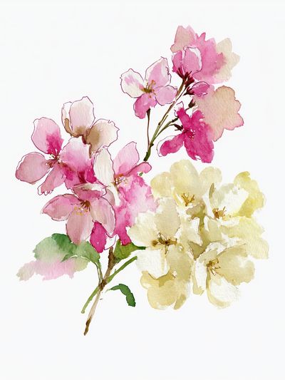 Cherry Blossom Watercolor Poster.