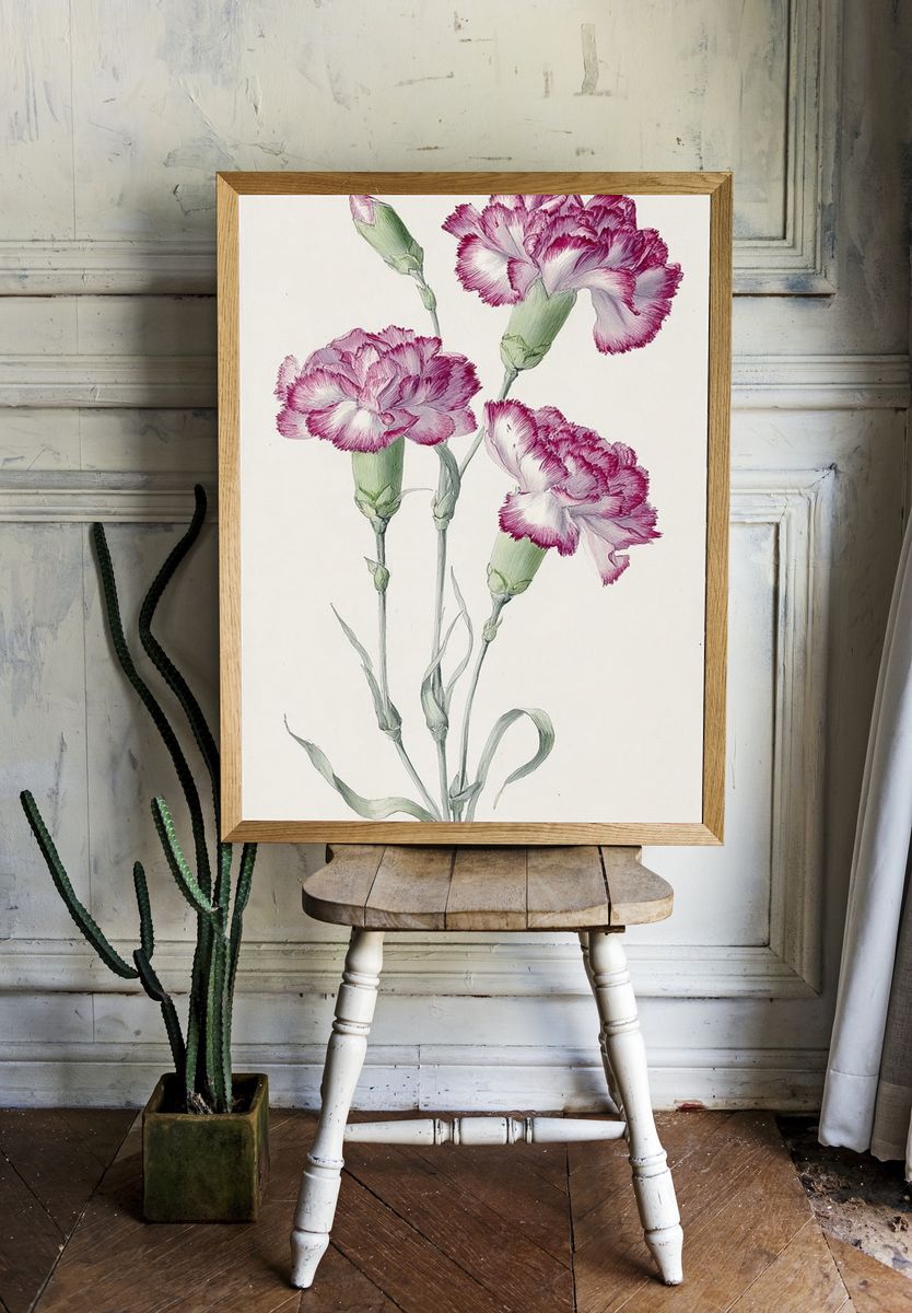 Pink Carnations Botanical Print. room preview