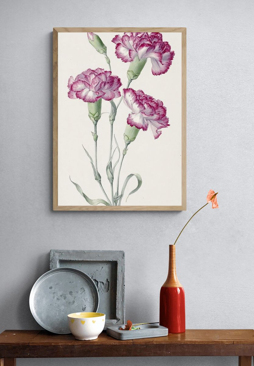 Pink Carnations Botanical Print. — room view 3