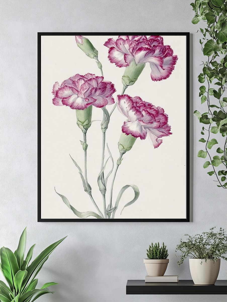 Pink Carnations Botanical Print. — room view 4