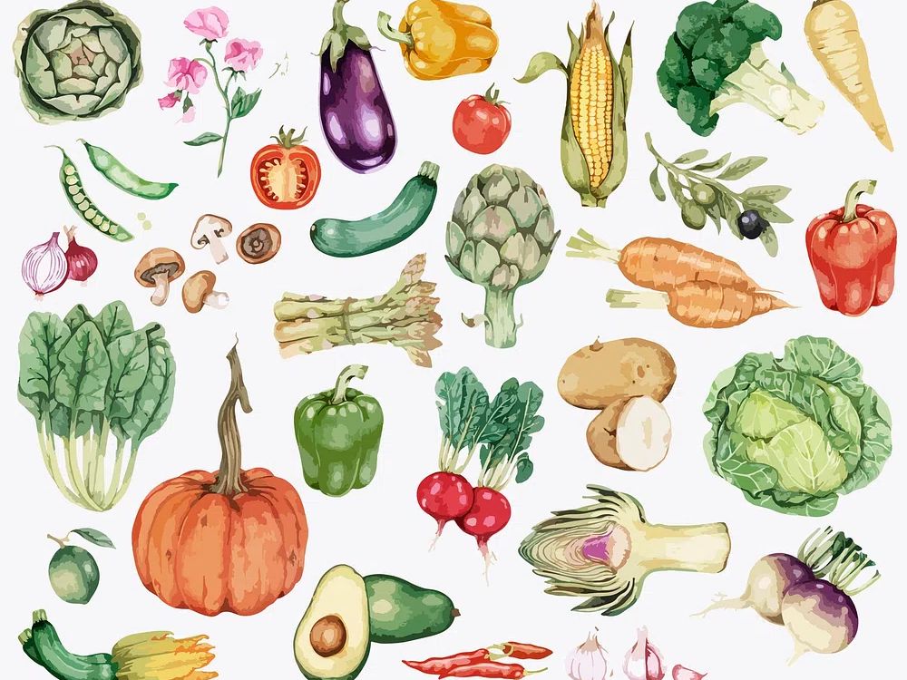 Collection of colorful vegetable illustration. poster — botanical art