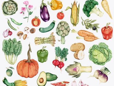 Collection of colorful vegetable illustration. poster
