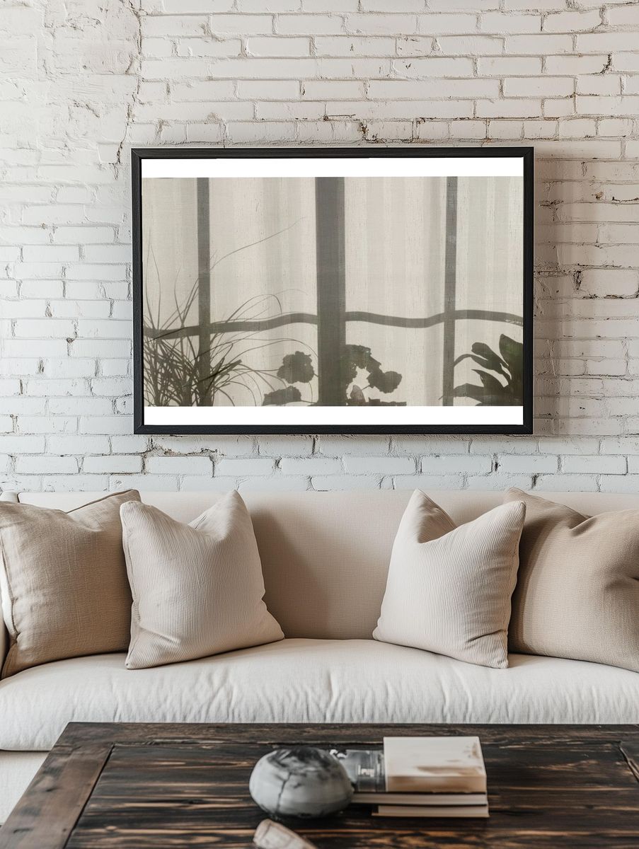 Shadow window frame plants pots. — room view 1