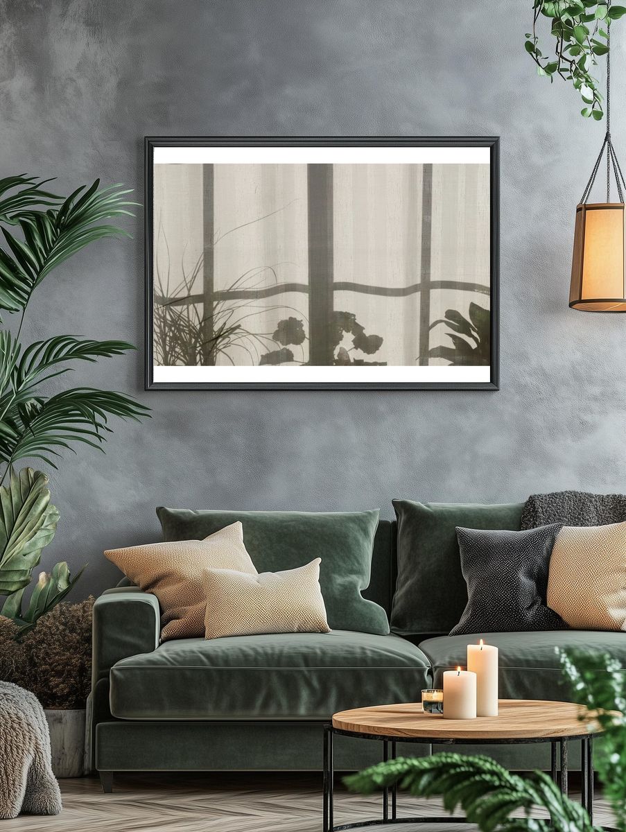 Shadow window frame plants pots. — room view 4